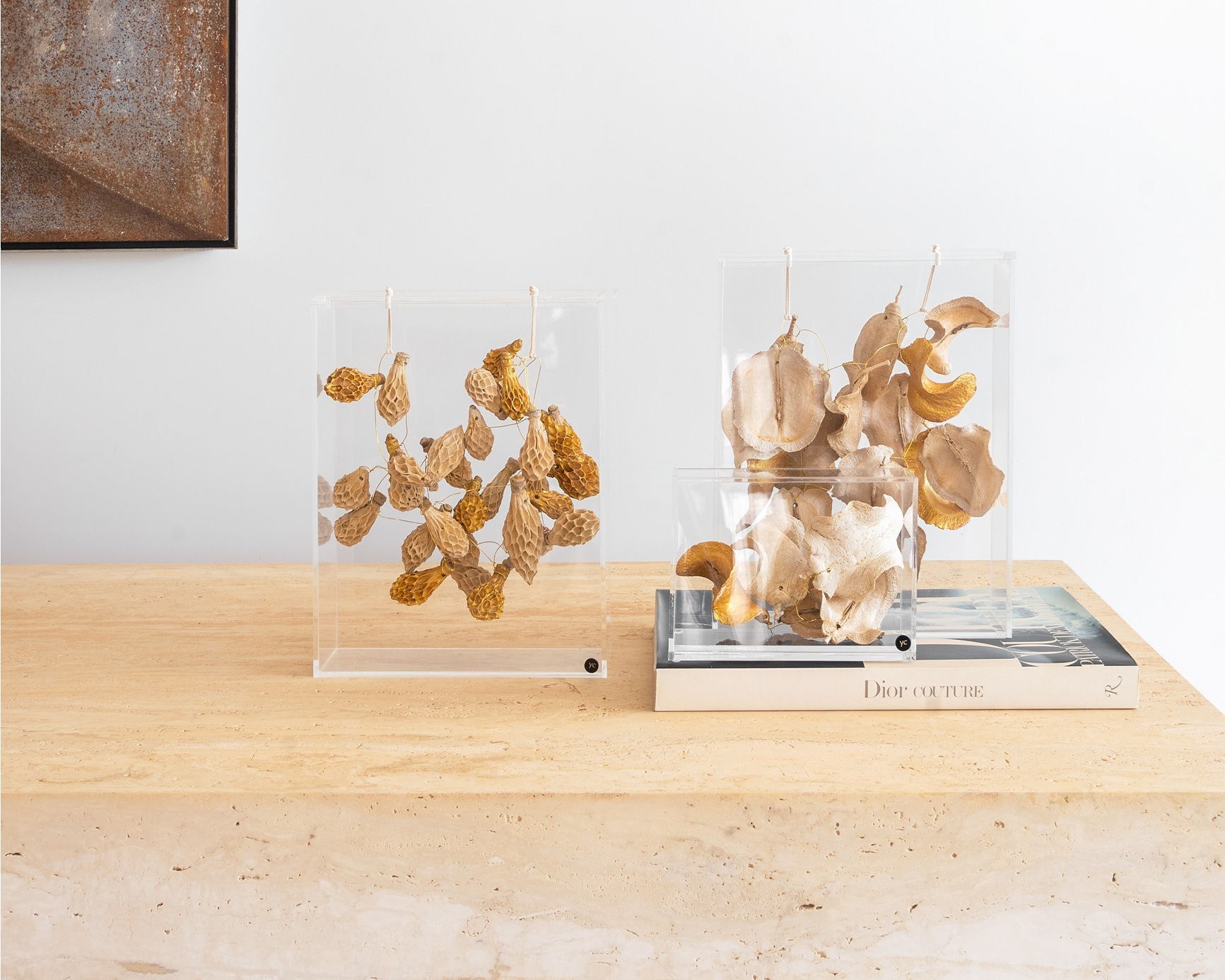 YA060CL4 -  CAIXA BANCADA BOCA SAPO ALVEJADO C/ DOURADO