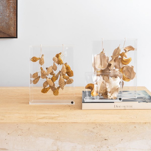 YA060CL4 -  CAIXA BANCADA BOCA SAPO ALVEJADO C/ DOURADO