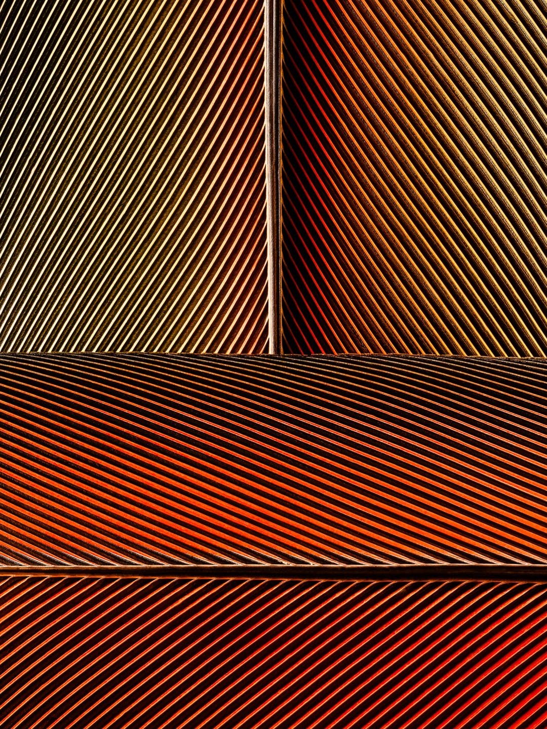 Série Penas, Plumas e Penugens - Obra nº2