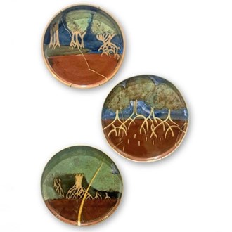 Estudos para a restauração de um bioma