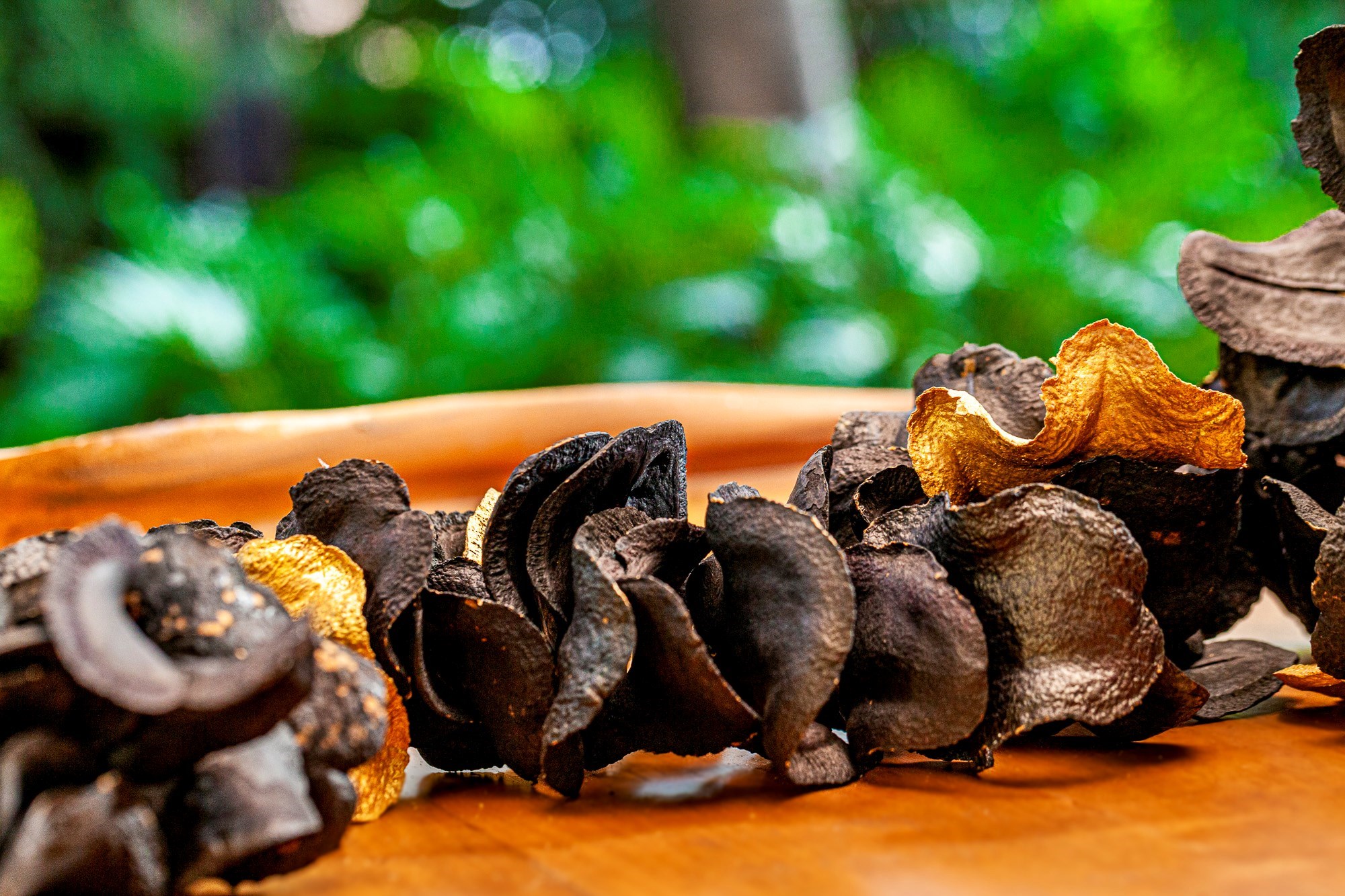 YA022PR0 - 120 CM ESC BOCA DE SAPO PRETO C/ DOURADO