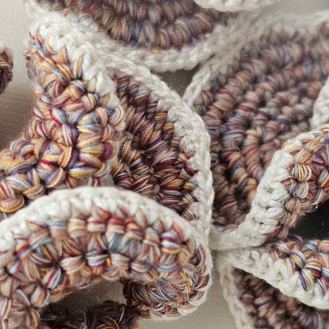 Cogumelos do Mar