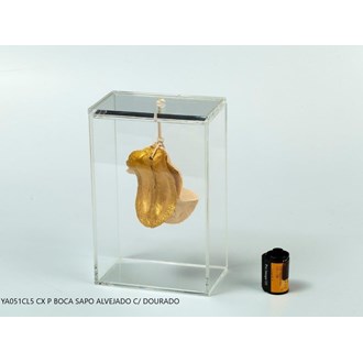 YA051CL5 -CAIXA  ACRILICA P BOCA SAPO ALVEJADO C/ DOURADO