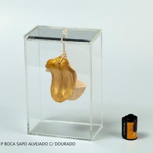 YA051CL5 -CAIXA ACRILICA P BOCA SAPO ALVEJADO C/ DOURADO
