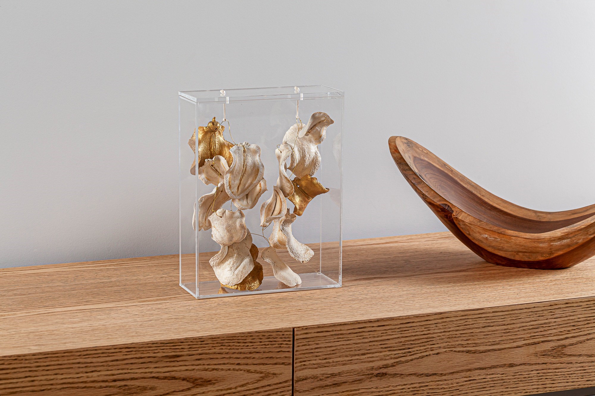 YA060CL4 -  CAIXA BANCADA BOCA SAPO ALVEJADO C/ DOURADO