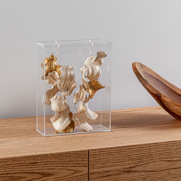 YA060CL4 -  CAIXA BANCADA BOCA SAPO ALVEJADO C/ DOURADO