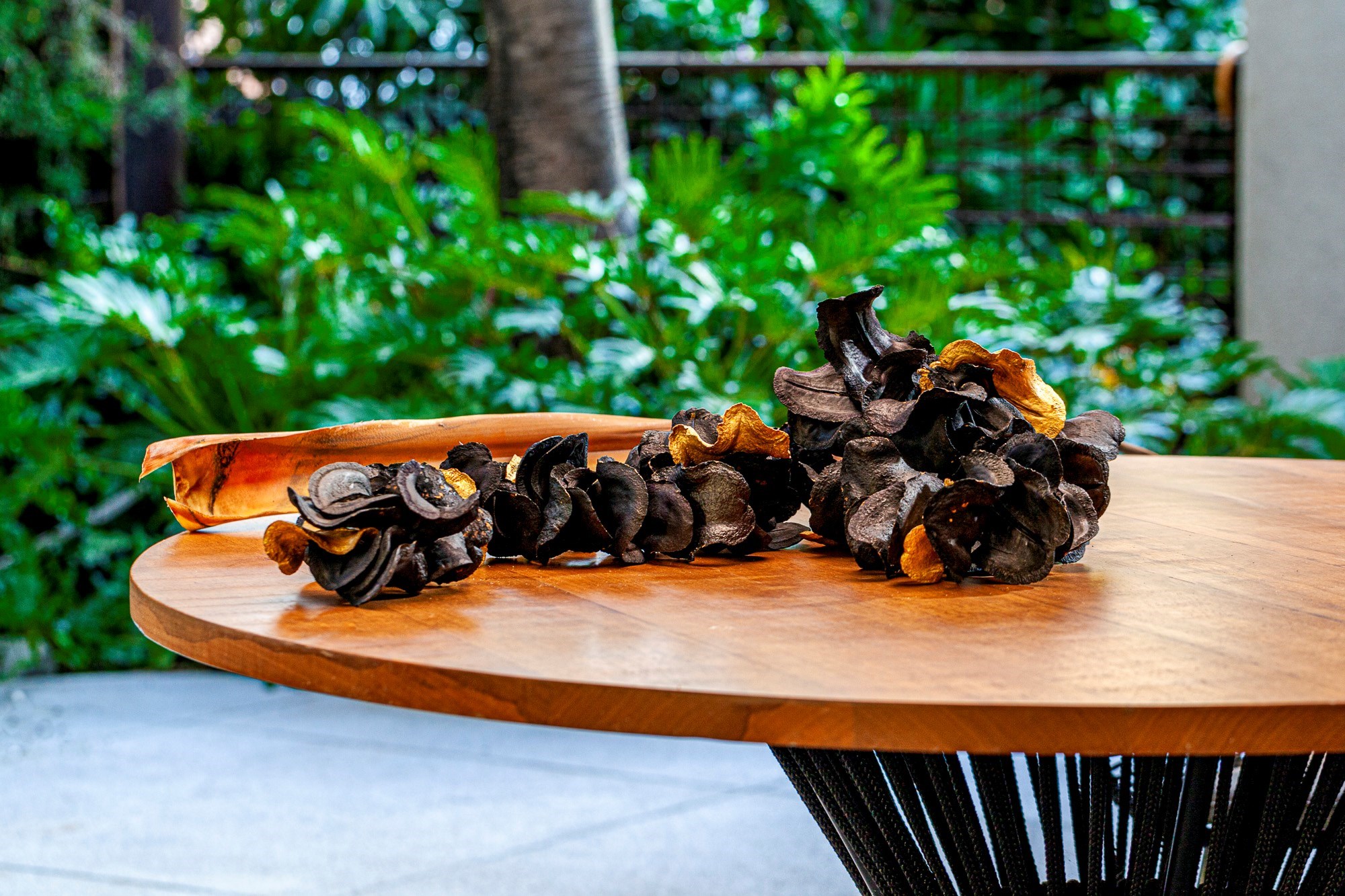 YA022PR0 - 120 CM ESC BOCA DE SAPO PRETO C/ DOURADO