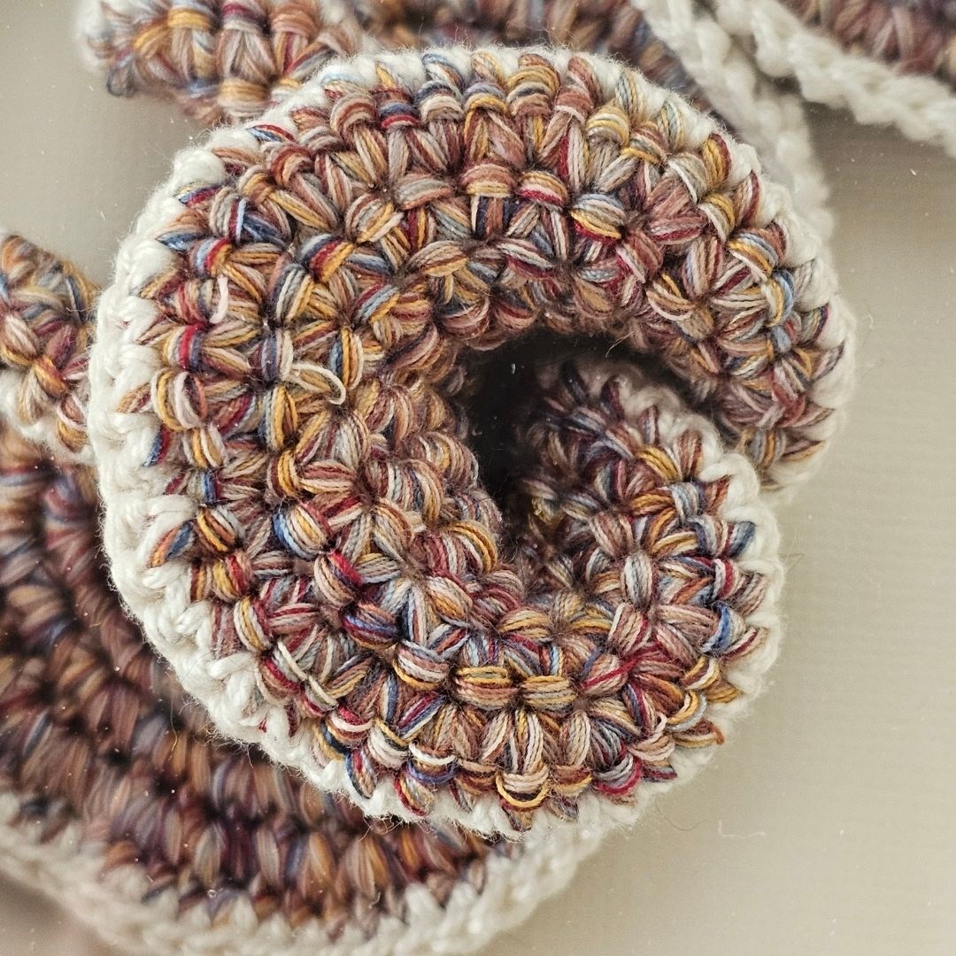 Cogumelos do Mar