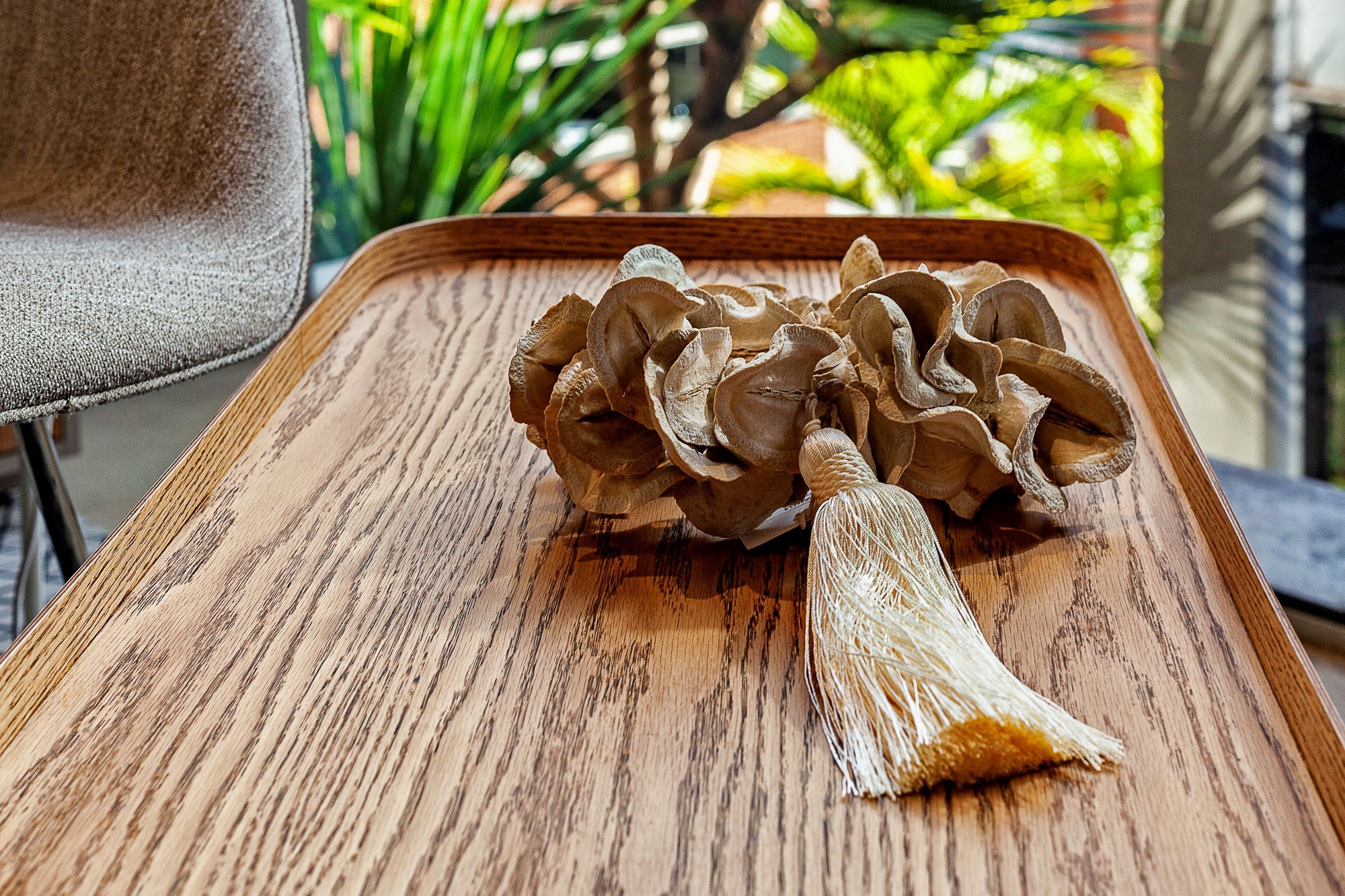 YA045CL4 - 50 CM MINI COLAR BOCA DE SAPO C/PING