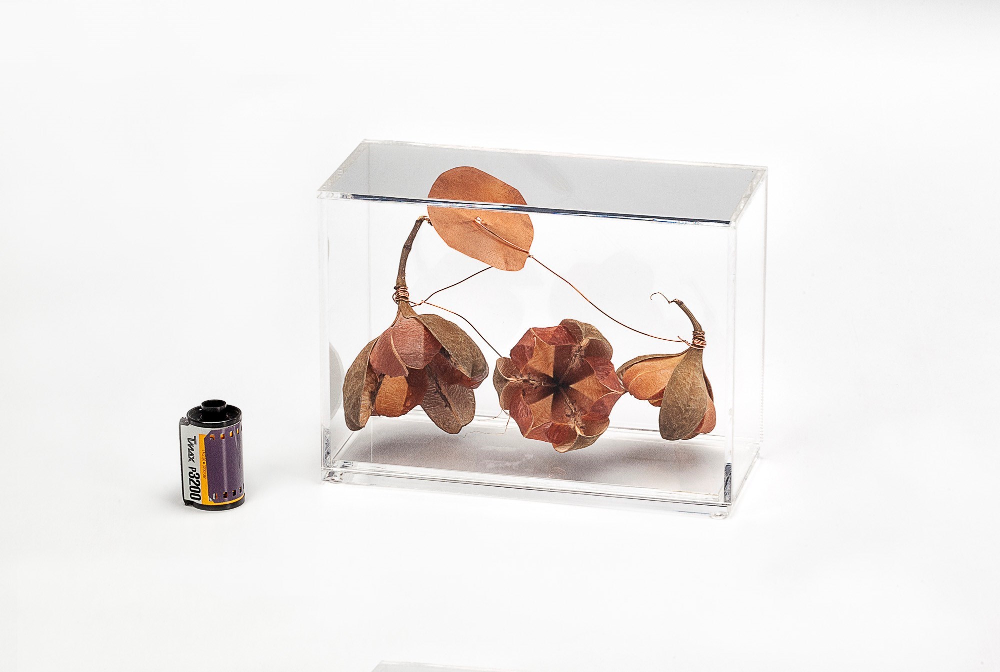 YA140CL1 - CAIXA ACRILICA P HORIZONTAL ROSA TEFÉ