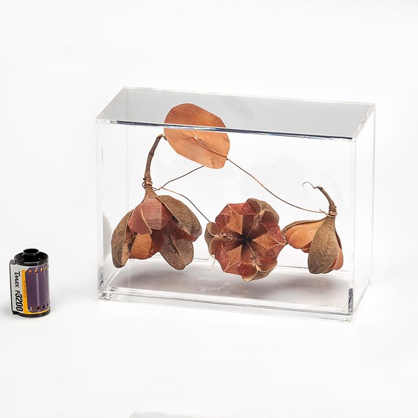 YA140CL1 - CAIXA ACRILICA P HORIZONTAL ROSA TEFÉ