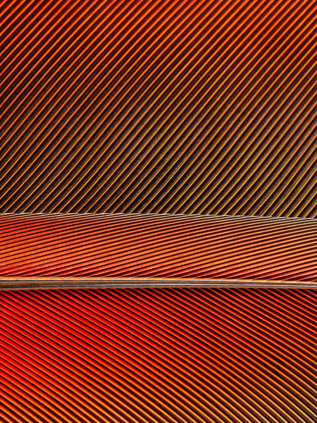 Série Penas, Plumas e Penugens - Obra nº6