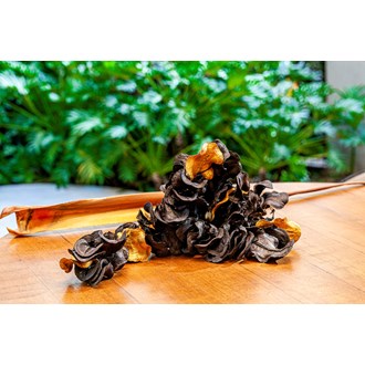 YA022PR0 - 120 CM ESC BOCA DE SAPO PRETO C/ DOURADO