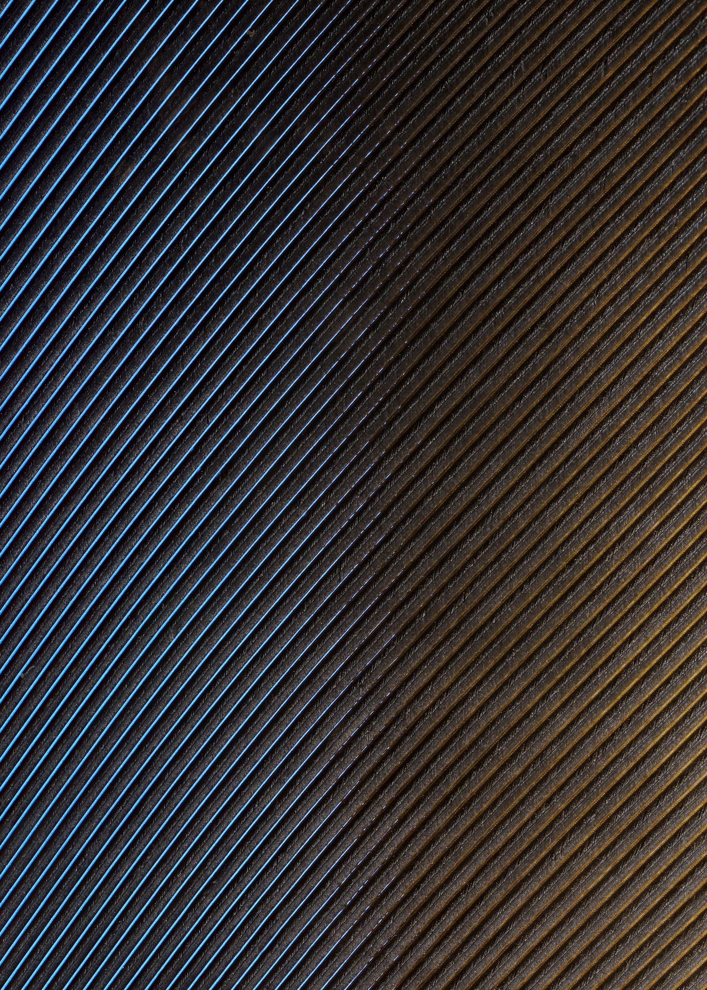 Série Penas, Plumas e Penugens - Obra nº4