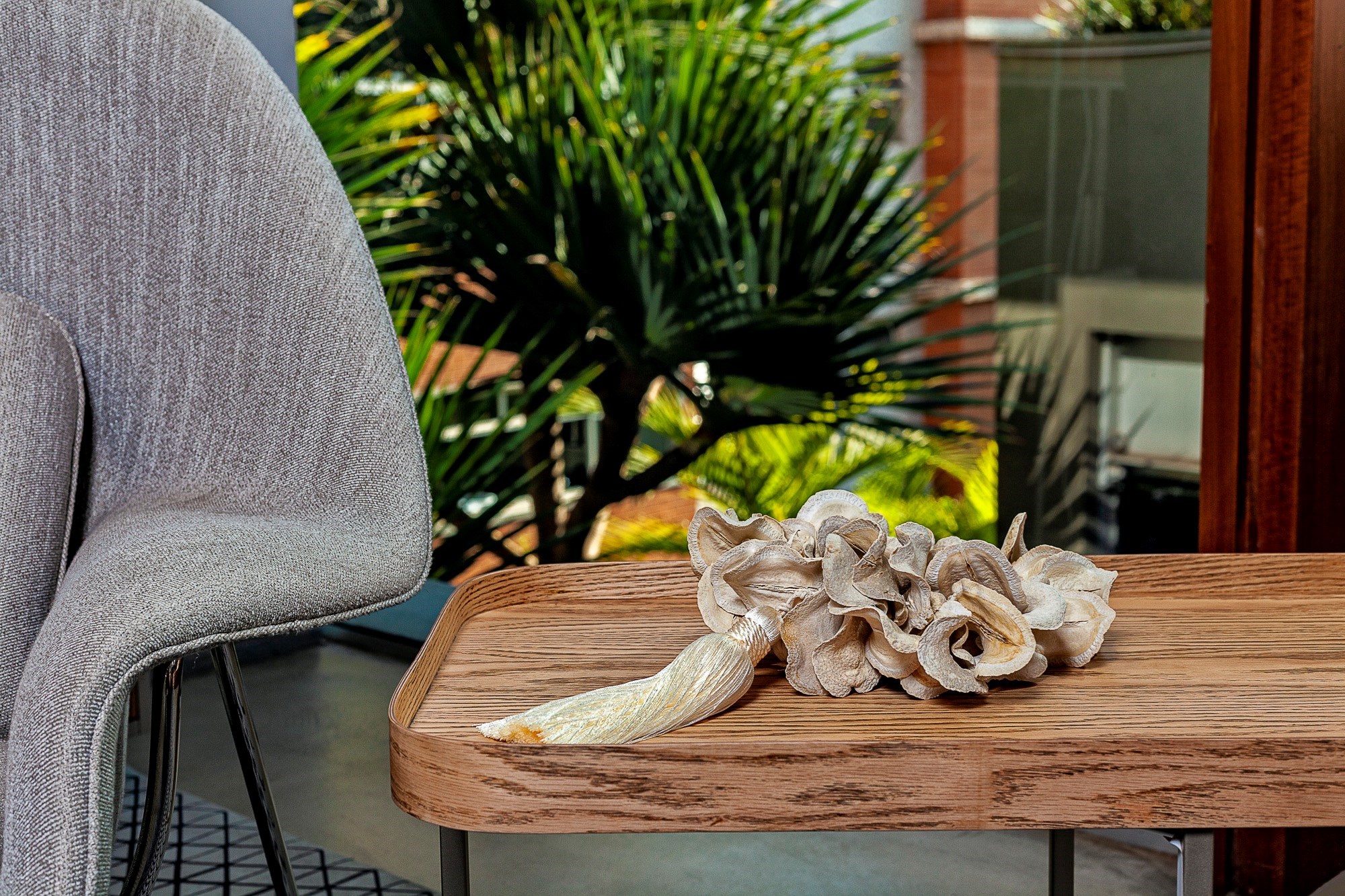 YA045CL4 - 50 CM MINI COLAR BOCA DE SAPO C/PING